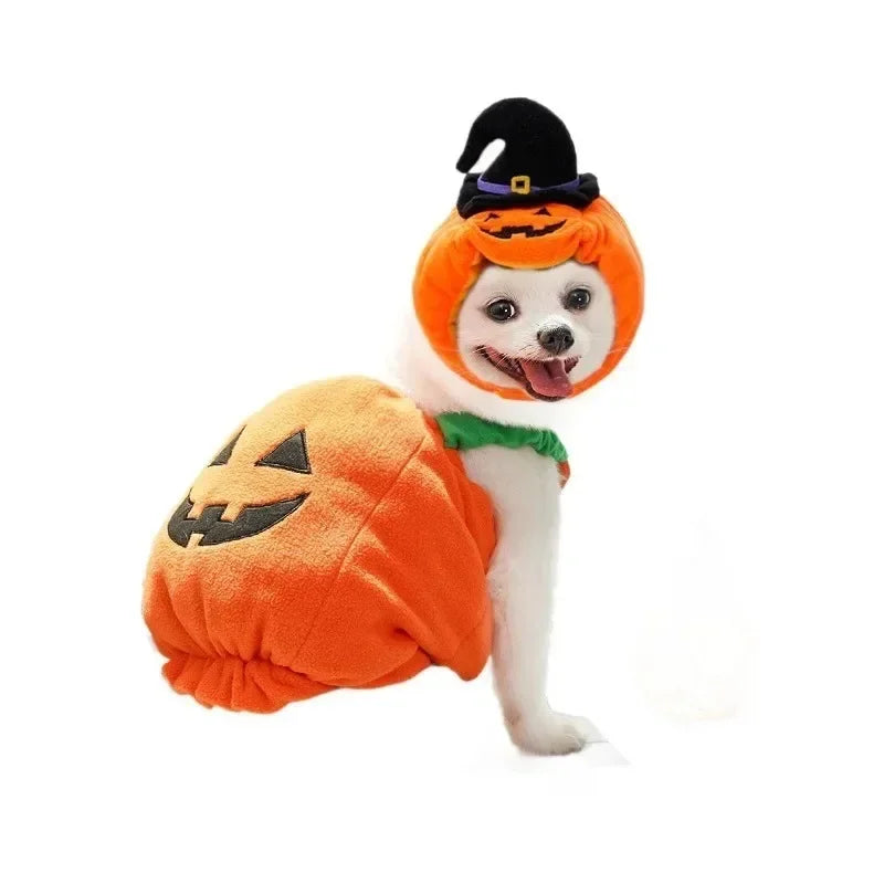 Funny Dog Halloween Christmas Pumpkin Lantern Transformation Outfit halloween dog Cat Two Legged Pet Cute Pumpkin Hat Dog Jacket