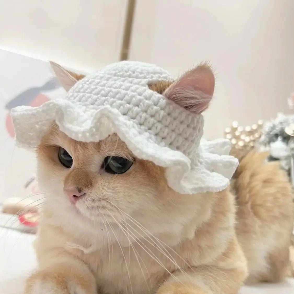 Knitted Cat Hat for Pets – Cute Cosplay Party Headwear