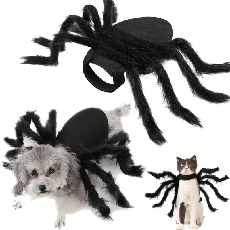 Halloween Spider Costume for Dogs and Cats, Funny Pet Cosplay Outfit