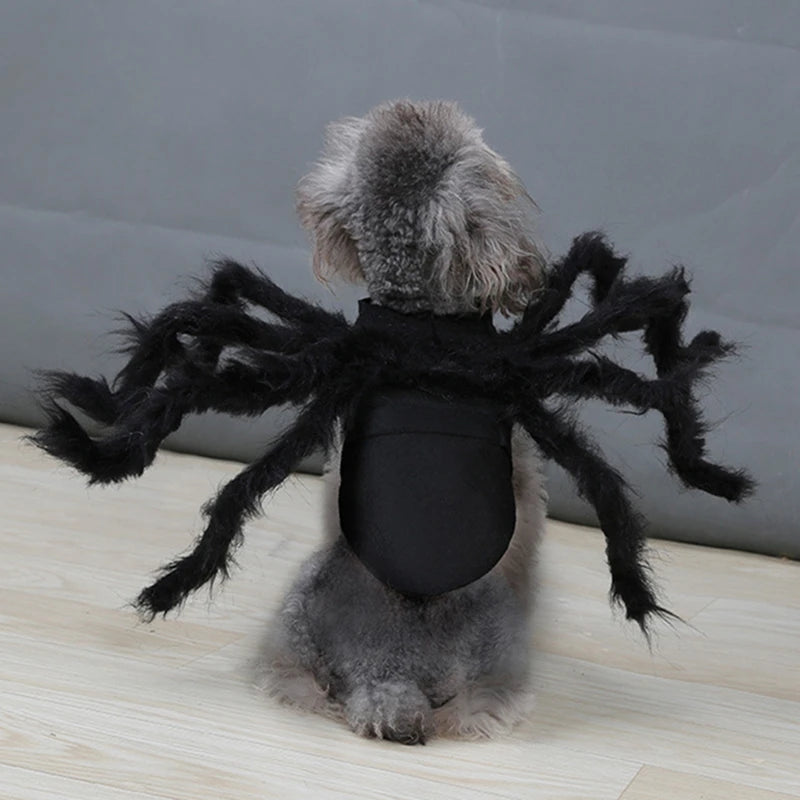 Halloween Spider Costume for Dogs and Cats, Funny Pet Cosplay Outfit