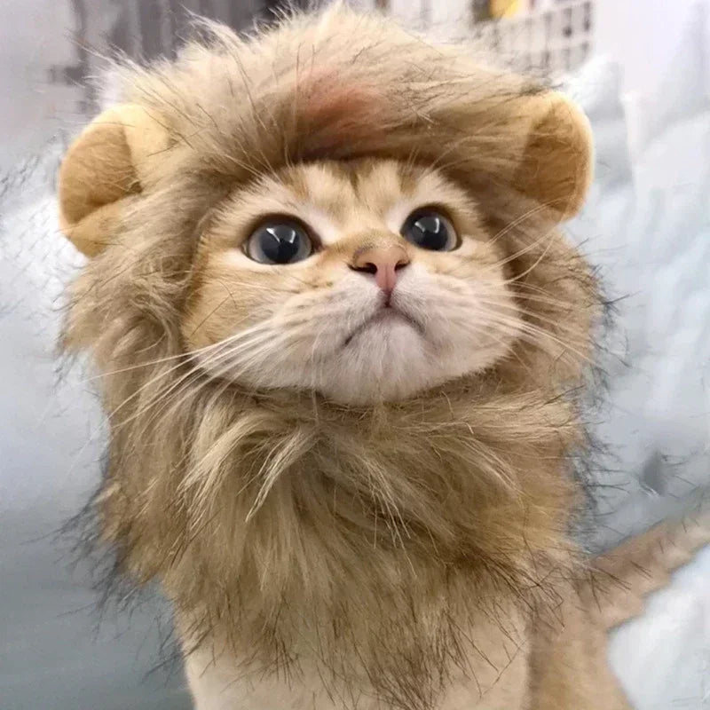 Lion Mane Wig Pet Hat for Cats & Small Dogs – Funny Cosplay Costume for Halloween & Photos
