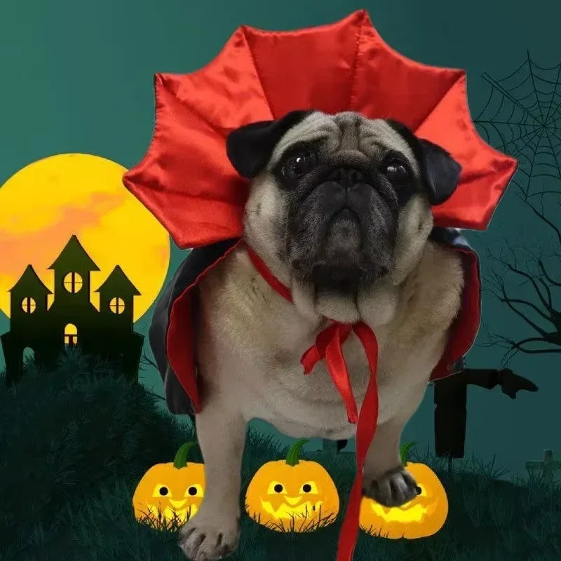 Vampire Cape Pet Costume – Halloween Cloak for Cats and Small Dogs