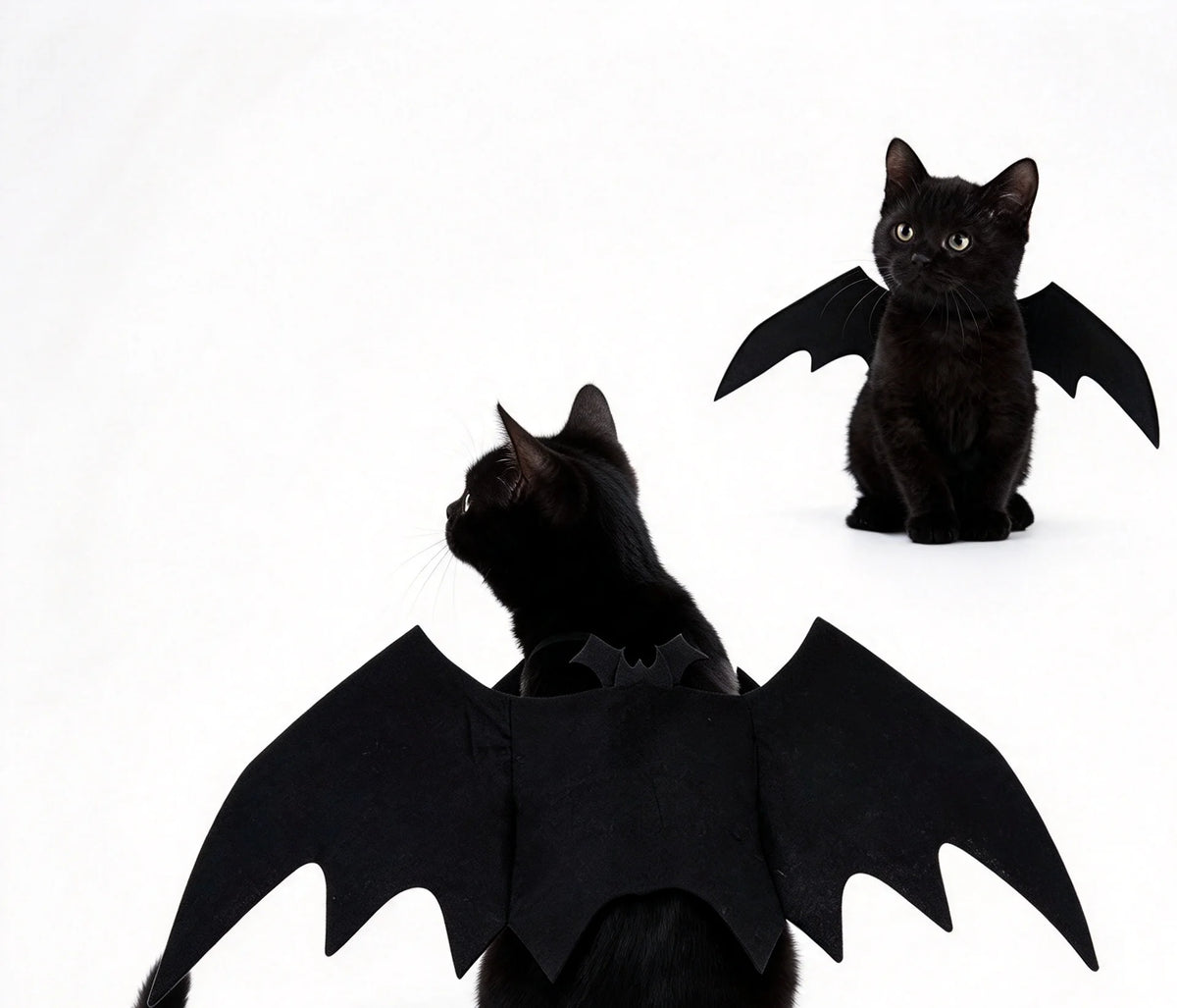 Pet Bat Wing Costume for Small Dogs - Halloween Cape for Festive and Daily Wear