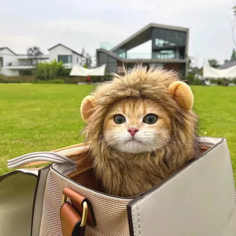 Lion Mane Wig Pet Hat for Cats & Small Dogs – Funny Cosplay Costume for Halloween & Photos