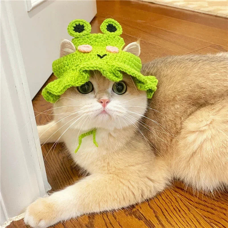 Knitted Cat Hat for Pets – Cute Cosplay Party Headwear