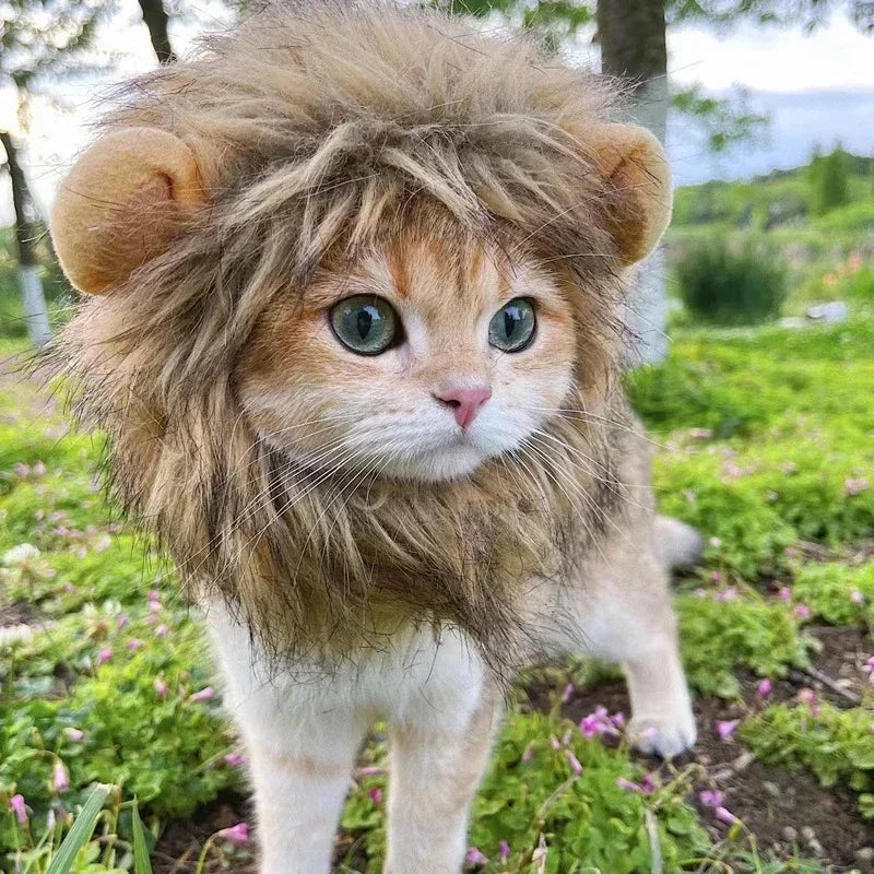 Lion Mane Wig Pet Hat for Cats & Small Dogs – Funny Cosplay Costume for Halloween & Photos