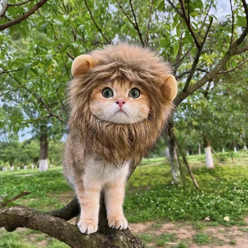 Cute Lion Mane Cat Dog Hat – Halloween Pet Costume Cap with Ears