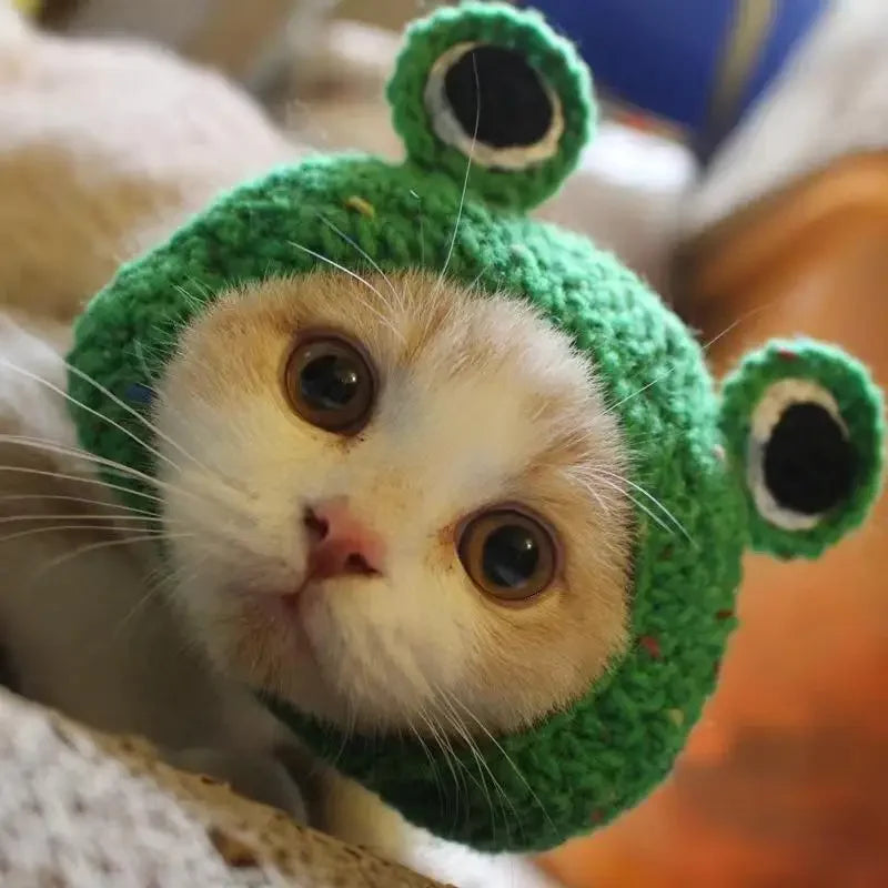 Knitted Cat Hat for Pets – Cute Cosplay Party Headwear