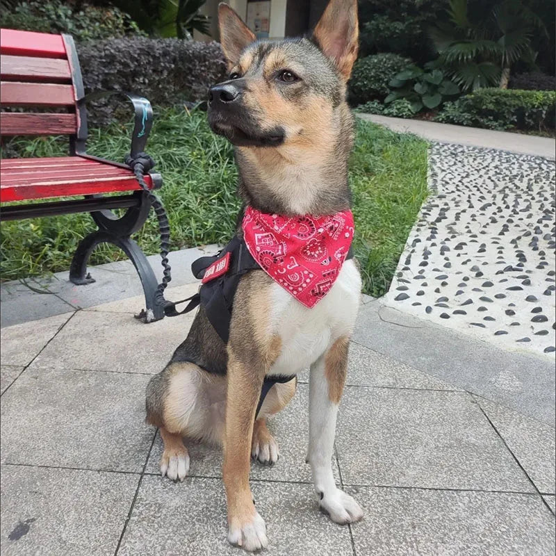 Adjustable Pet Triangle Bandana Scarf – Washable Dog & Cat Bib Collar for Birthday Parties