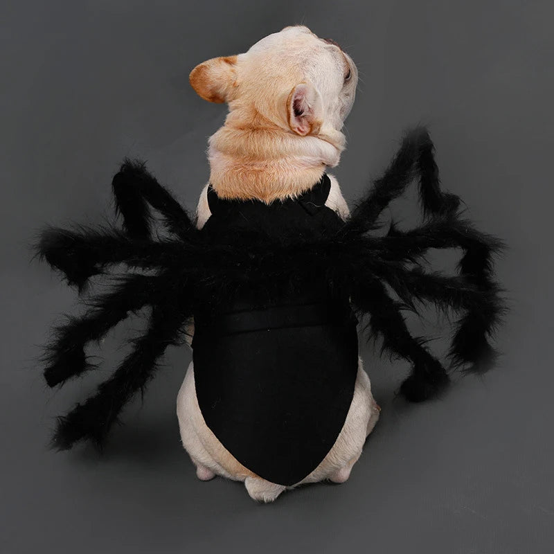 Halloween Spider Costume for Dogs and Cats, Funny Pet Cosplay Outfit