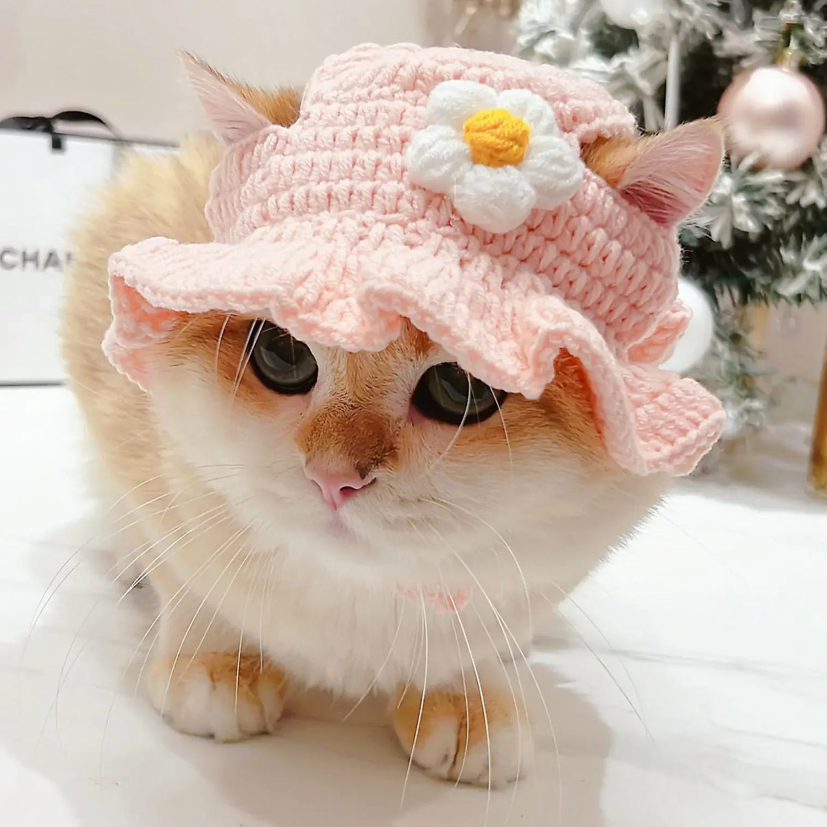 Knitted Cat Hat for Pets – Cute Cosplay Party Headwear
