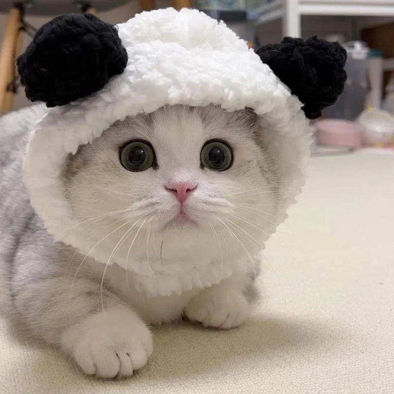 Pet Hats for Small Dogs and Cats, Lion Mane and Rabbit Ear Costume Headwear