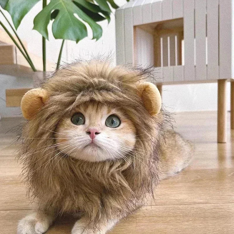 Lion Mane Wig Pet Hat for Cats & Small Dogs – Funny Cosplay Costume for Halloween & Photos