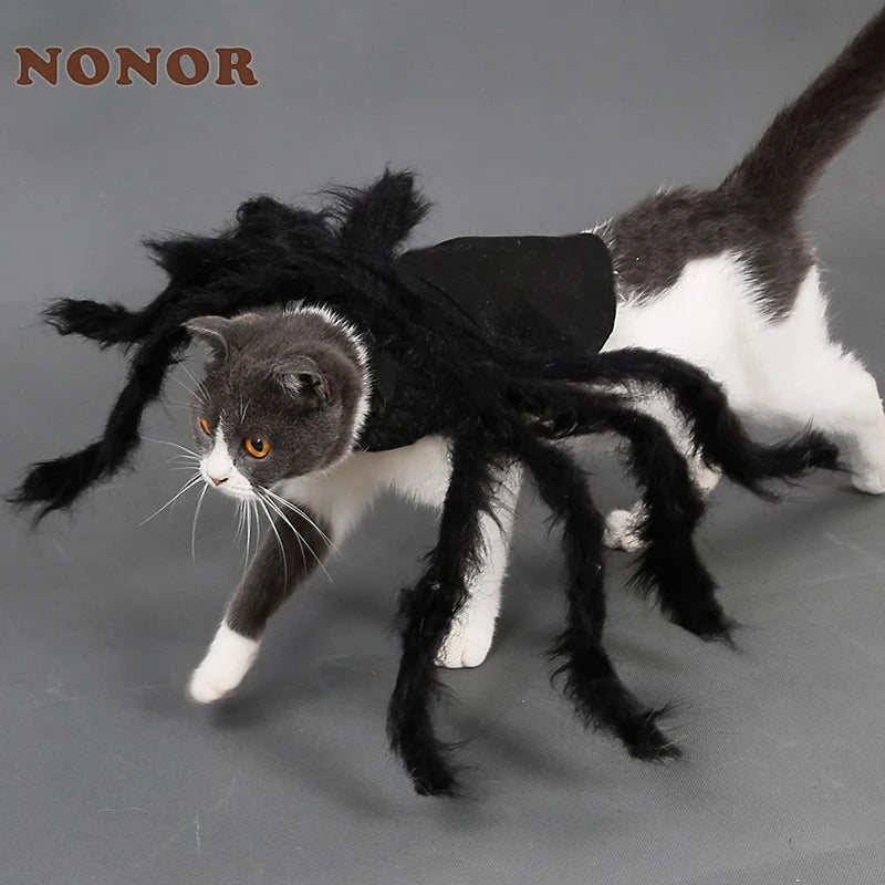 Halloween Spider Costume for Dogs and Cats, Funny Pet Cosplay Outfit