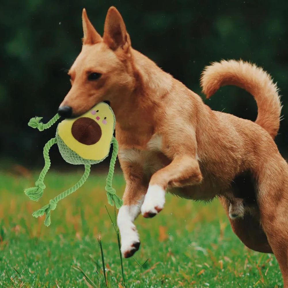 Dog Chew-Resistant Knot Doll Avocado Octopus Cat Interactive Squeaky Toy