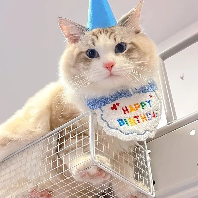 Pet Birthday Hat & Bandana Set – Cute Party Outfit for Dogs, Cats & Puppies