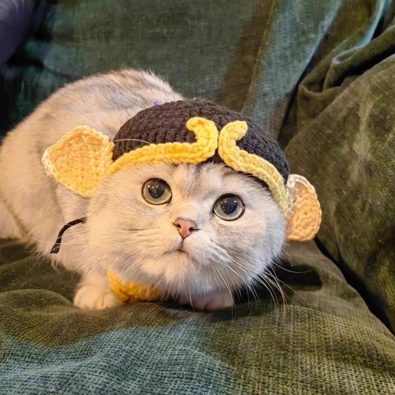 Knitted Cat Hat for Pets – Cute Cosplay Party Headwear